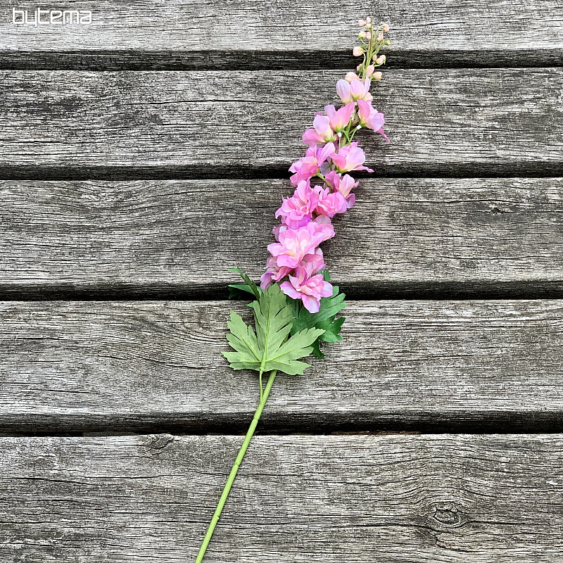 Delphinium ružové 79 cm