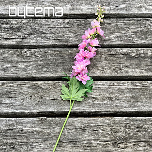 Delphinium ružové 79 cm